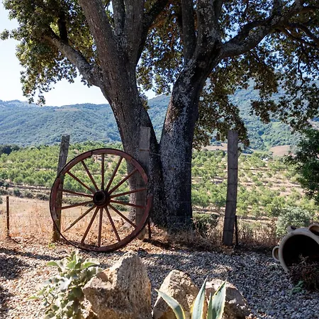 Bed & Breakfast U Mulinu Casanelli Fozzano