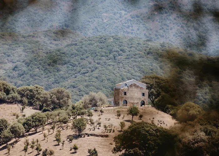 U Mulinu Casanelli * Fozzano